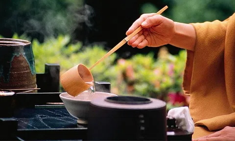 Tâm thiền trong tách trà