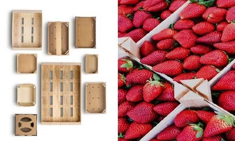 Bao bì gỗ - mắt xích bền vững, hướng tới tương lai trong ngành trái cây và rau quả