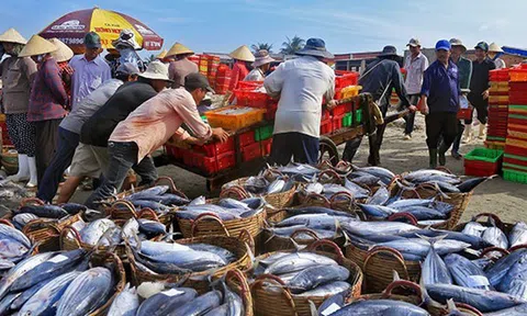 Bảo tồn lưu giữ nguồn gen và giống hải sản kinh tế quí hiếm có nguy cơ tuyệt chủng ở biển Việt Nam