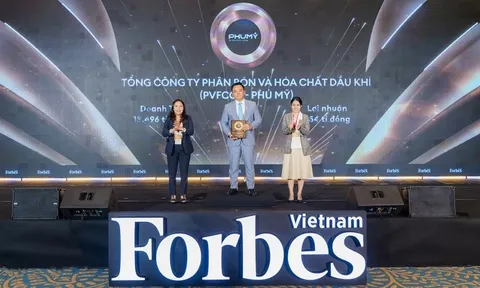 PVFCCo xuất sắc đạt danh hiệu kép "Top 50 công ty niêm yết tốt nhất" và "Top 25 Thương hiệu dẫn đầu Việt Nam năm 2025"