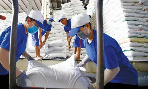 Philippines siết chặt nhập khẩu gạo, doanh nghiệp Việt cần thoát khỏi 'cái bóng' phụ thuộc