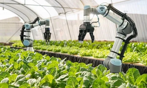 Đông Nam Á: Nội địa hóa công nghệ nông nghiệp?