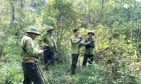 Nỗ lực bảo vệ rừng, gìn giữ màu xanh đại ngàn tại Khu bảo tồn Pù Hu