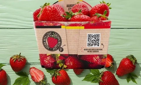 Bỉ: Delhaize loại bỏ bao bì nhựa đựng dâu tây