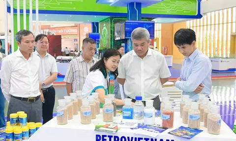 PVFCCo vinh dự tham gia trong gian hàng trưng bày của PetroVietNam tại Triển lãm thành tựu đất nước