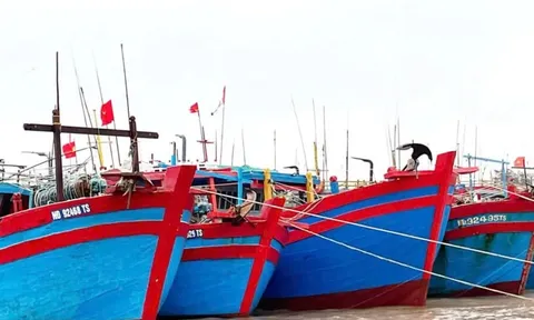 Ninh Bình quyết liệt chống khai thác hải sản bất hợp pháp