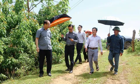 Tập đoàn TH làm việc với xã Tương Dương về dự án nuôi cá tầm lấy trứng