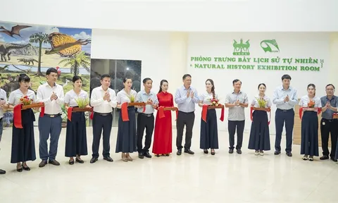 Khai trương Phòng trưng bày Lịch sử tự nhiên tại phường Phong Điền (Huế)