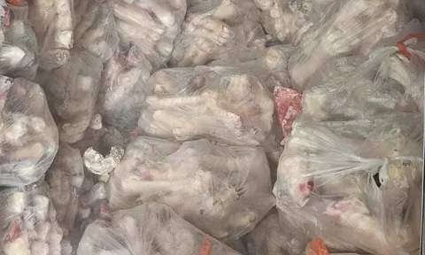 Phát hiện hơn 3 tấn xương bò không rõ nguồn gốc tại Hà Nội