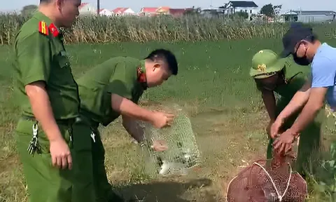Nghệ An: Công an xã Hải Châu xử lý vi phạm săn bắt động vật hoang dã