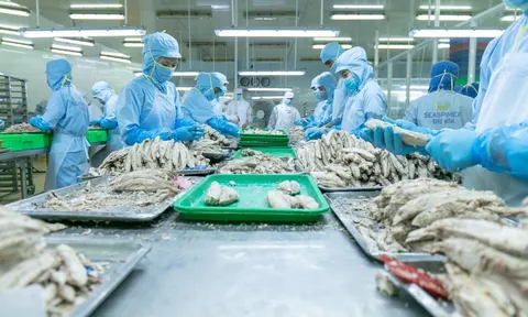 Ngành cá ngừ Việt Nam loay hoay tìm đường ở các thị trường lớn