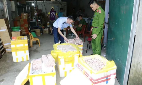 Nghệ An: Phát hiện hàng ngàn chiếc chân gà, xúc xích, nem chua đông lạnh không rõ nguồn gốc