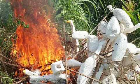 Bảo vệ môi trường sống cho những đàn chim trời mùa di cư