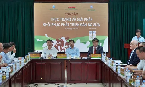 Tìm hướng đi cho ngành chăn nuôi bò sữa Việt Nam