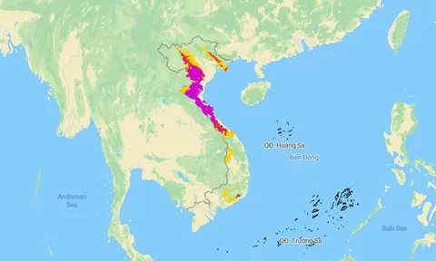 Khẩn trương ứng phó với lũ lên nhanh trên các sông
