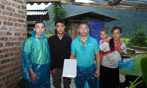 Vingroup hỗ trợ khẩn cấp 500 tỷ đồng cho đồng bào bị thiệt hại do bão Bualoi
