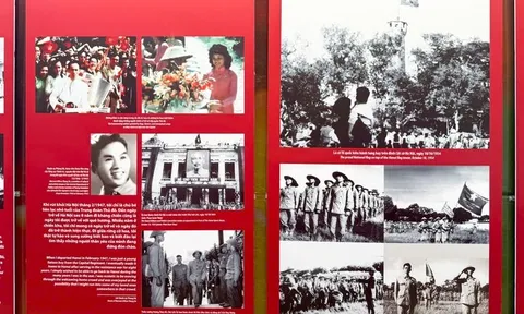 Ôn lại lịch sử hào hùng Ngày Giải phóng Thủ đô qua trưng bày “Vang mãi khúc khải hoàn”