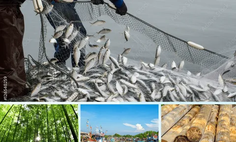 Lâm nghiệp và thủy sản quý III tăng trưởng khá