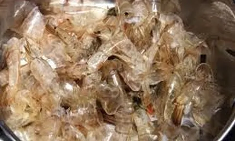 Tạo phân bón nano từ trấu và vỏ tôm bằng công nghệ chiếu xạ