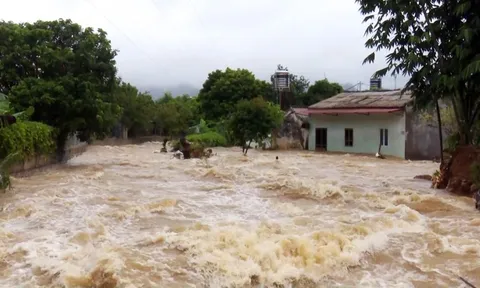 Chủ động ứng phó với lũ đặc biệt lớn trên sông Cầu, sông Thương