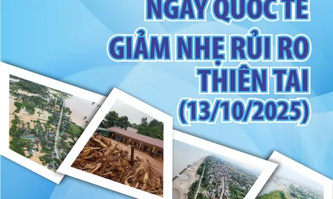 Việt Nam hưởng ứng Ngày Quốc tế giảm nhẹ rủi ro thiên tai và Ngày ASEAN về Quản lý thiên tai năm 2025