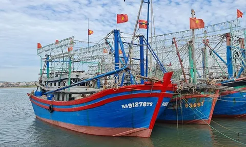 100% tàu cá của Nghệ An đã được đồng bộ dữ liệu với cơ sở dữ liệu dân cư, gắn định danh và số điện thoại chính chủ