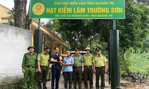 Người dân ở Quảng Trị bàn giao chim hồng hoàng quý hiếm cho cơ quan chức năng