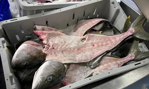 Phần Lan biến phụ phẩm đầu và xương cá thành cá ăn liền