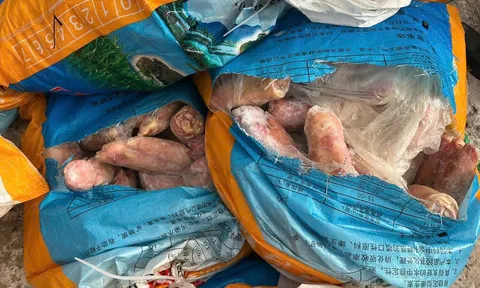 Quảng Ninh tiêu hủy 300 kg chân lợn đông lạnh không rõ xuất xứ