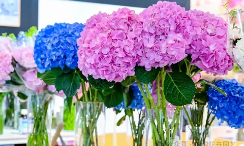 Liên minh dịch vụ thương mại hoa Nga được thành lập tại Côn Minh (Trung Quốc)