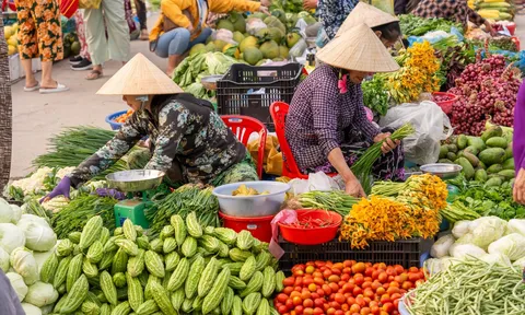Can thiệp vào hệ thống thực phẩm để tăng lượng rau quả trong bữa ăn