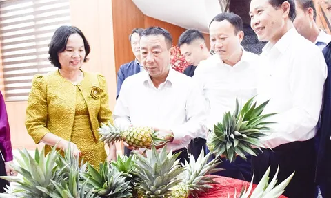 Nghệ An tổng kết Đề án phát triển Hợp tác xã giai đoạn 2021 – 2025