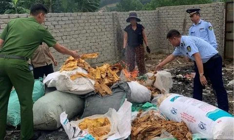 Nghệ An tiêu hủy 150 kg măng khô không rõ nguồn gốc