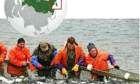 Nga: sản lượng đánh bắt cá tăng vọt vào năm 2025