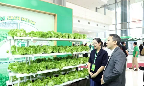 Tập đoàn Masan giới thiệu mô hình nông nghiệp và vật liệu công nghiệp công nghệ cao tại triển lãm 80 năm ngành Nông nghiệp & Môi trường