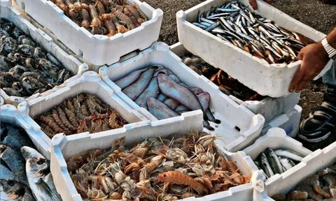 Ngành thủy sản toàn cầu tăng tốc chứng nhận ASC