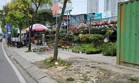 Xử lý vi phạm về đất nông nghiệp tại TP.HCM: Cần sự quyết liệt hơn từ chính quyền cấp xã