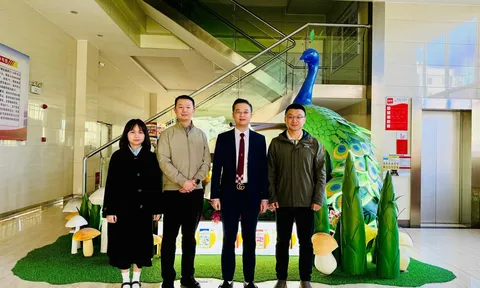 Viện ASTRI làm việc với Nhà máy mì gói Dong Dong tại tỉnh Vân Nam, Trung Quốc