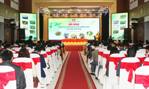 Nghệ An phấn đấu đạt 708.850 tấn lương thực trong vụ Xuân năm 2026