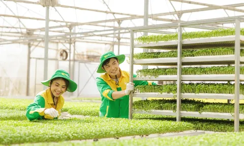 TP.HCM sẽ xây dựng chiến lược phát triển nông nghiệp đô thị có tính chất dài hạn