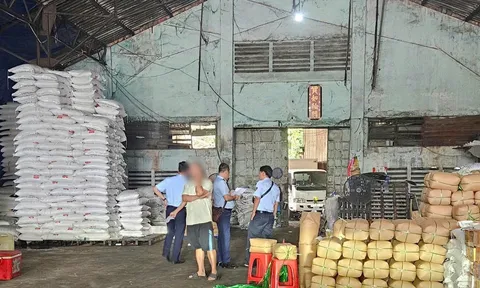 Buôn lậu đường cát: "Bức tử" ngành mía đường trong nước, và hiểm họa khôn lường cho sức khỏe