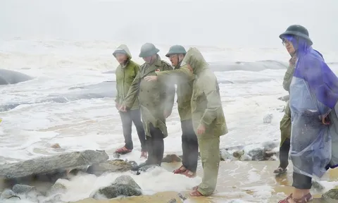 TP Huế tập trung khắc phục hậu quả thiên tai, hỗ trợ đời sống người dân sau mưa lũ