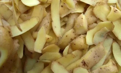 Khái niệm rác thải trong ngành khoai tây đang dần biến mất