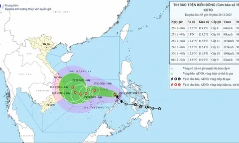 Chủ động ứng phó với bão số 15 (Koto) trên Biển Đông