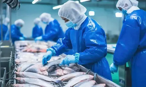 Sản lượng hải sản toàn cầu đang tiến tới 200 triệu tấn