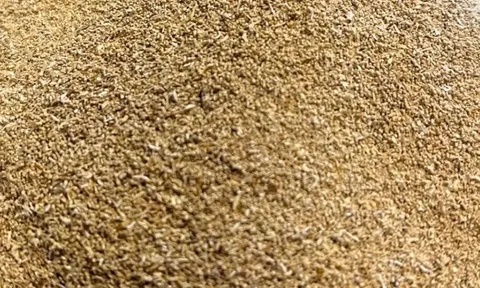 Châu Âu khám phá tiềm năng phân bón từ côn trùng: Thúc đẩy nông nghiệp bền vững và tự chủ chiến lược