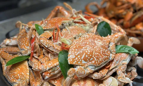 Xuất khẩu ghẹ “đổi màu”: Tăng trưởng phụ thuộc khối thị trường cao cấp