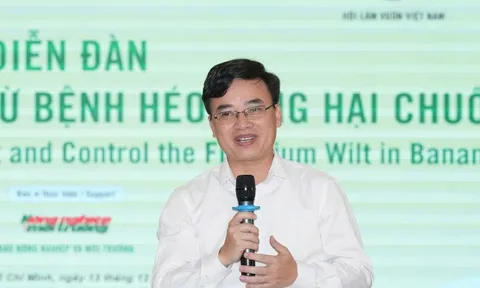 Ngành chuối sẽ sớm được 'cởi trói' chính sách nhằm hướng đến mục tiêu xuất khẩu tỷ USD