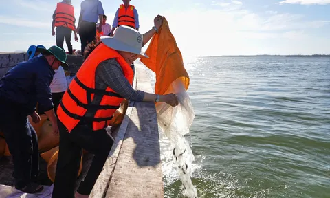 Tây Ninh: Thả 65.000 con cá giống nhằm tái tạo nguồn lợi thủy sản hồ Dầu Tiếng