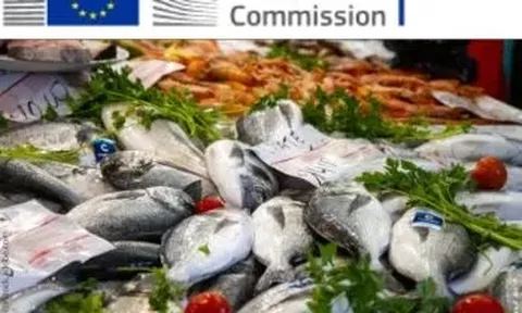 Báo cáo thị trường cá EU năm 2025: Giá tăng cao, người tiêu dùng chuyển hướng sang các lựa chọn tiết kiệm hơn